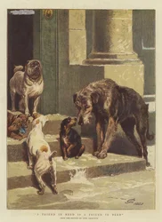 Ein Freund in der Not ist ein wahrer Freund